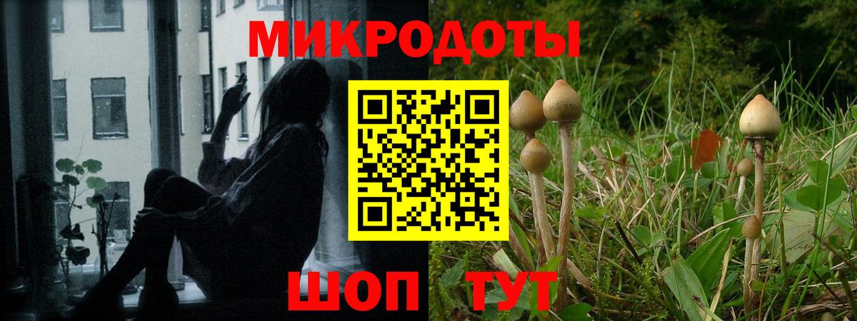 Артём  Галлюциногенные грибы Magic Shrooms  Вход с VPN 