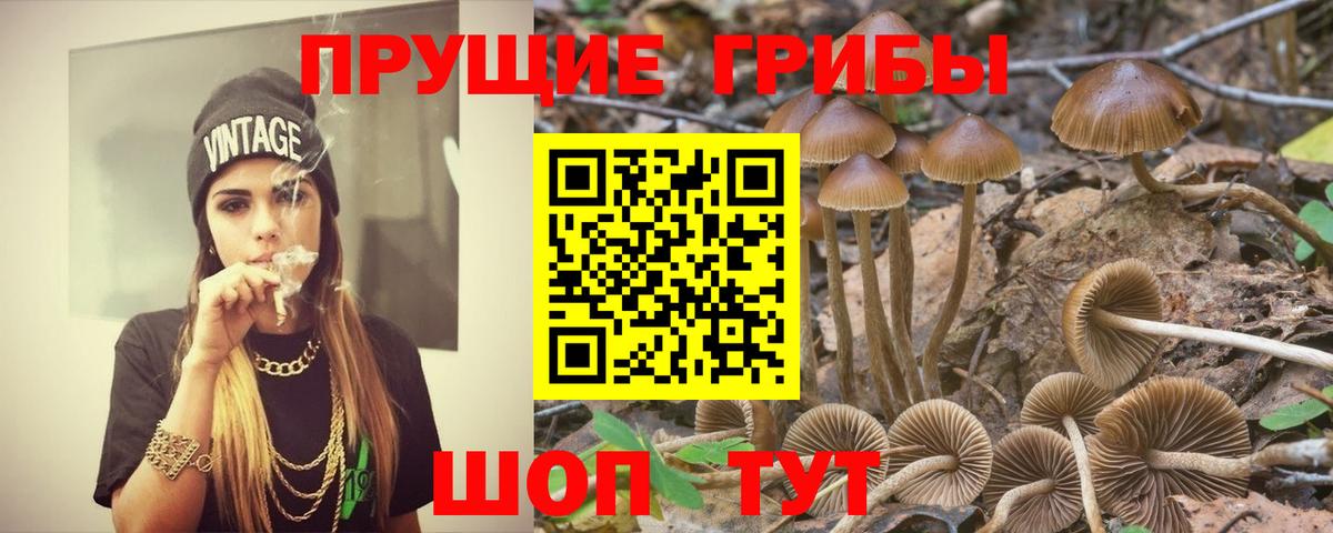 Псилоцибиновые грибы ЛСД Артём
